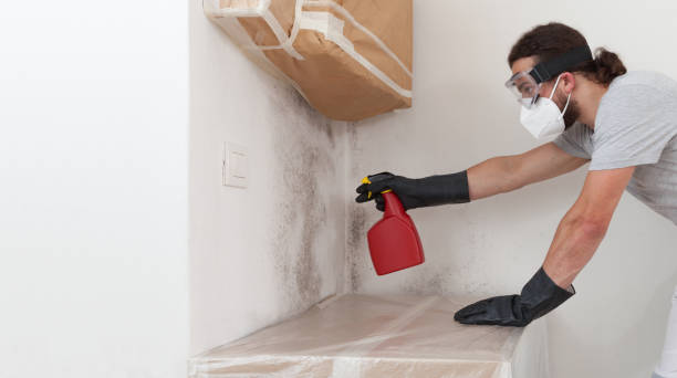 Professional Black Mold Remediation technician working in Sharpsburg, NC